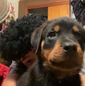 Meet your Posher, Jayden